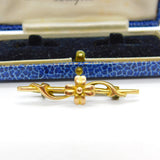 Edwardian 9ct Yellow Gold Shamrock & Floral Good Luck Brooch c1910