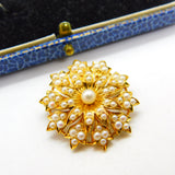 Victorian 18ct Yellow Gold & Seed Pearl Spring Flower Pendant or Brooch Antique c1880