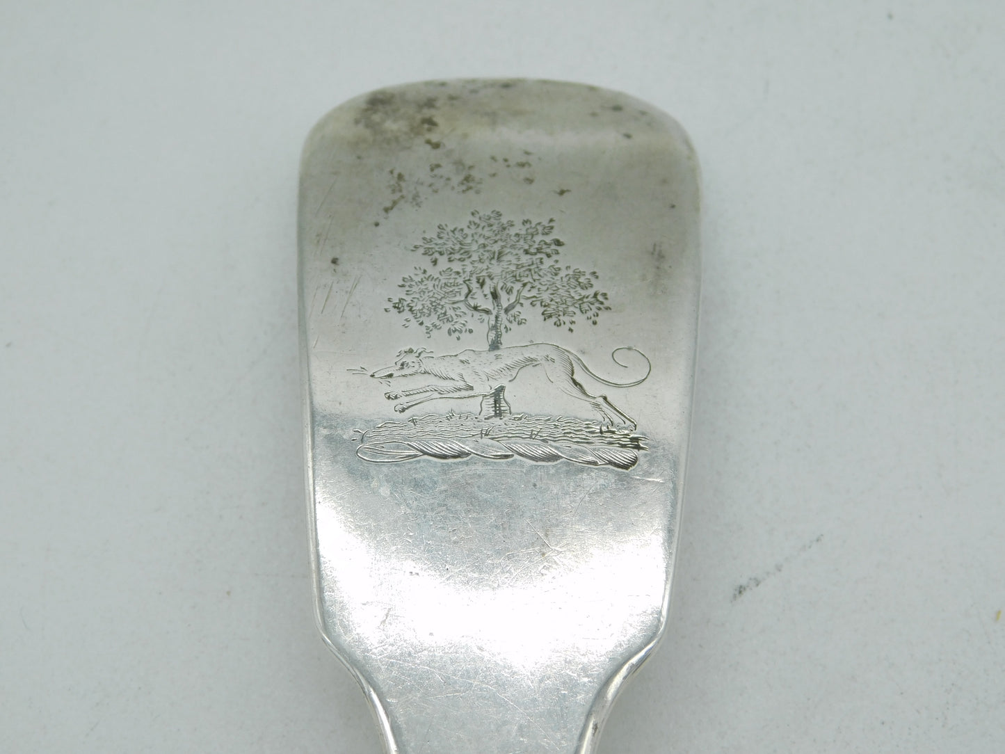 Irish George III Sterling Silver Crested Fish Server Antique 1806 Dublin