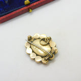 Georgian 9ct Gold, Almandine Garnet, Woven Hair Mourning Brooch Pendant Antique
