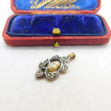 Georgian 9ct Rose Gold & Diamond Paste Dove or Turtle Pendant c1820 Antique