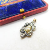 Georgian 9ct Rose Gold & Diamond Paste Dove or Turtle Pendant c1820 Antique