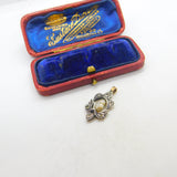 Georgian 9ct Rose Gold & Diamond Paste Dove or Turtle Pendant c1820 Antique