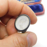 Victorian Cut Steel & Carved Glass Julius Caesar Intaglio Fob Seal c1840 Antique