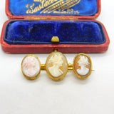 Georgian Grand Tour Period Carved Shell Triple Cameo Brooch Antique c1800