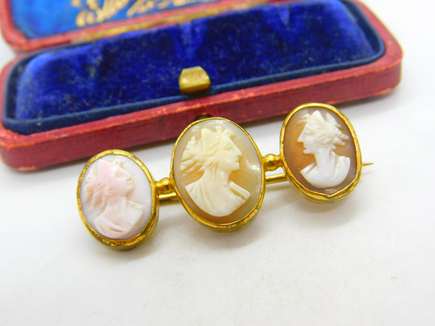 Georgian Grand Tour Period Carved Shell Triple Cameo Brooch Antique c1800