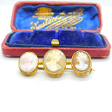 Georgian Grand Tour Period Carved Shell Triple Cameo Brooch Antique c1800