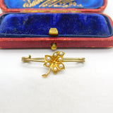 Edwardian 9ct Yellow Gold & Seed Pearl Ivy Leaf Sweetheart Brooch c1910 Antique