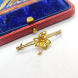 Edwardian 9ct Yellow Gold & Seed Pearl Ivy Leaf Sweetheart Brooch c1910 Antique