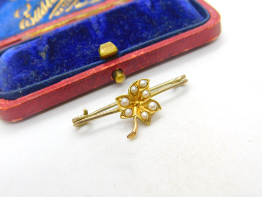 Edwardian 9ct Yellow Gold & Seed Pearl Ivy Leaf Sweetheart Brooch c1910 Antique