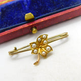 Edwardian 9ct Yellow Gold & Seed Pearl Ivy Leaf Sweetheart Brooch c1910 Antique