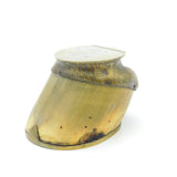 Edwardian Pony Hoof Brass Rim Inkwell 'Poor Old Jack Died Sept. 1906' Commemorative Antique