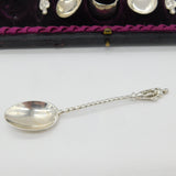 Boxed Set of Sterling Silver Apostle Teaspoons & Tongs 1891 Birmingham Antique
