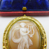 Victorian Gold Plated Carved Shell Classical Lyre Cameo Brooch Antique c1860