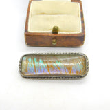 Sterling Silver Mounted Morpho Butterfly Wing Set Brooch Pin Antique c1920