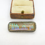 Sterling Silver Mounted Morpho Butterfly Wing Set Brooch Pin Antique c1920