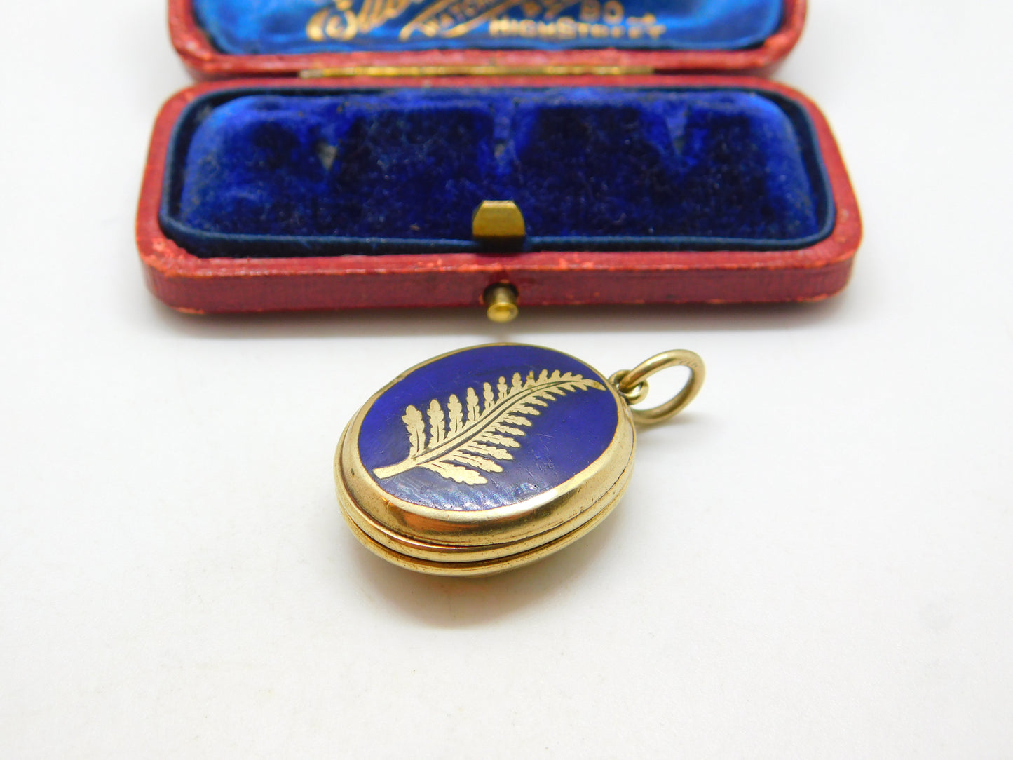 Victorian 9ct Gold Back & Front Fern Leaf Enamel Locket Antique c1890 Good Luck