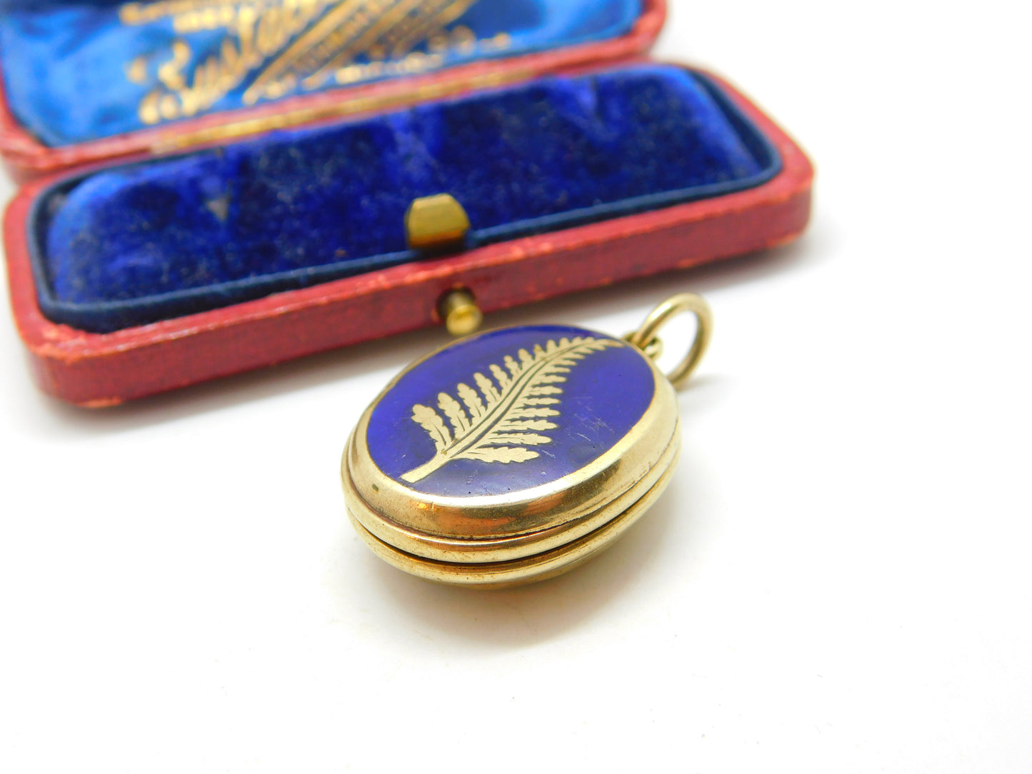 Victorian 9ct Gold Back & Front Fern Leaf Enamel Locket Antique c1890 Good Luck