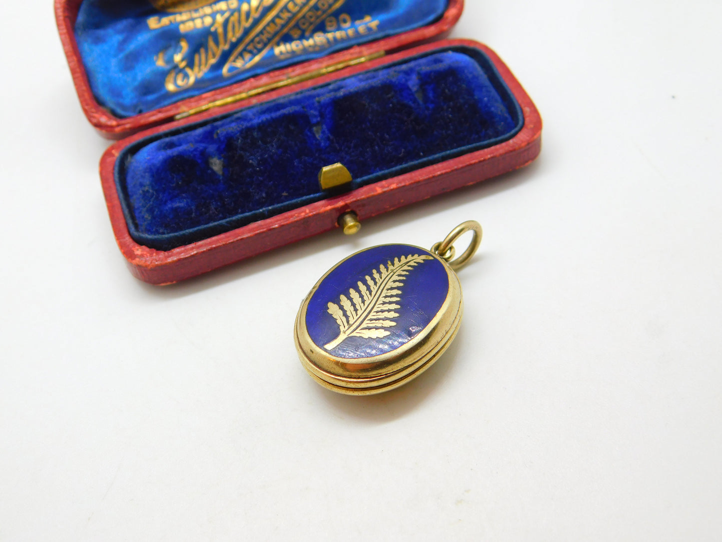 Victorian 9ct Gold Back & Front Fern Leaf Enamel Locket Antique c1890 Good Luck