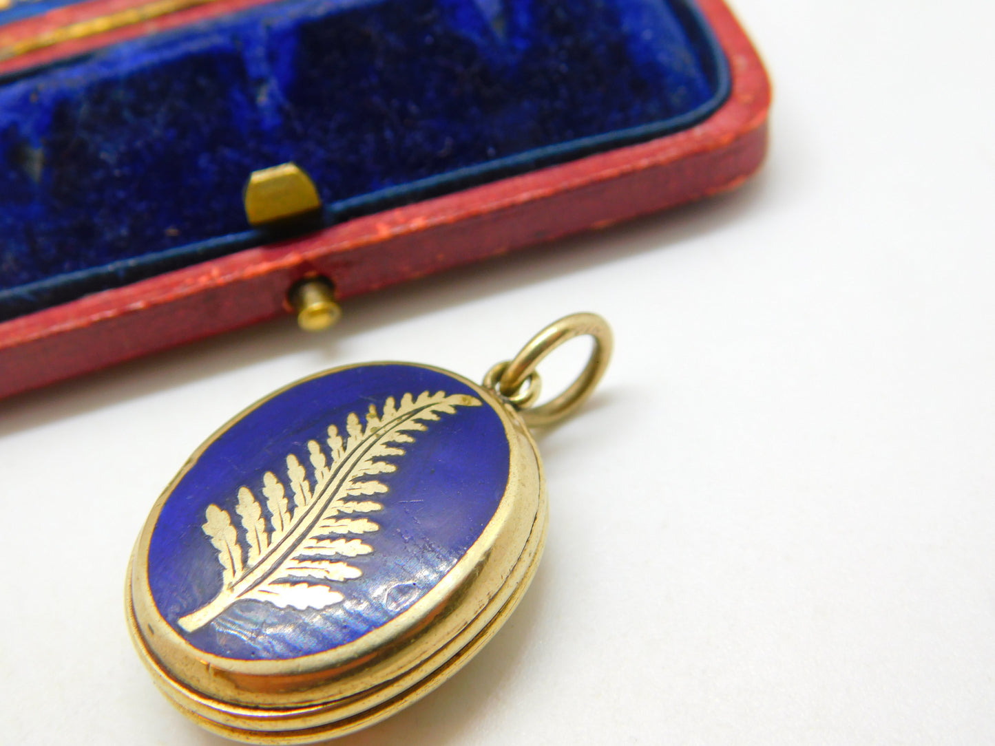 Victorian 9ct Gold Back & Front Fern Leaf Enamel Locket Antique c1890 Good Luck