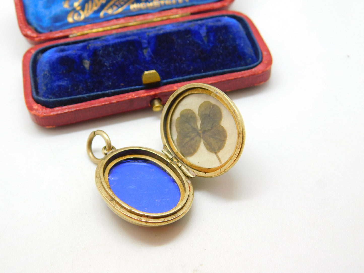 Victorian 9ct Gold Back & Front Fern Leaf Enamel Locket Antique c1890 Good Luck