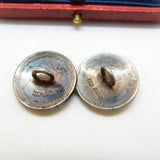 Edwardian Pair of Sterling Silver & Forget-Me-Not Enamel Buttons Antique 1907