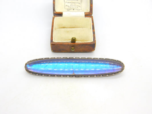 Large Sterling Silver & Morpho Butterfly Wing Brooch Antique c1920 Art Deco