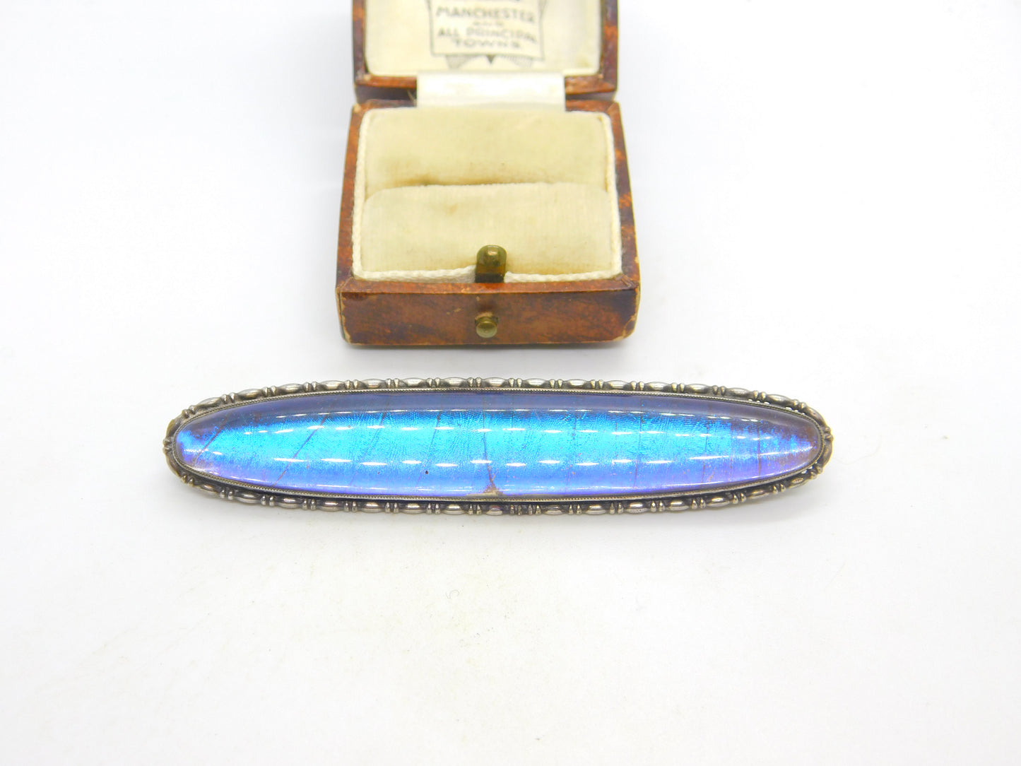 Large Sterling Silver & Morpho Butterfly Wing Brooch Antique c1920 Art Deco