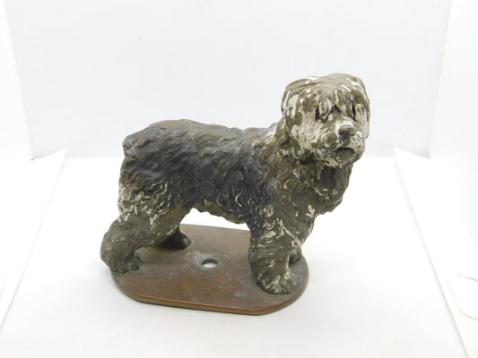 Victorian Cold Painted Vienna Bronze Bearded Collie Dog Figure Antique c1860