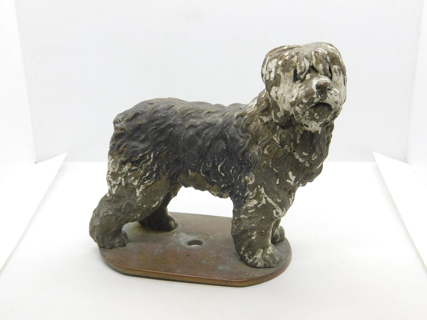 Victorian Cold Painted Vienna Bronze Bearded Collie Dog Figure Antique c1860