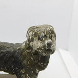 Victorian Cold Painted Vienna Bronze Bearded Collie Dog Figure Antique c1860