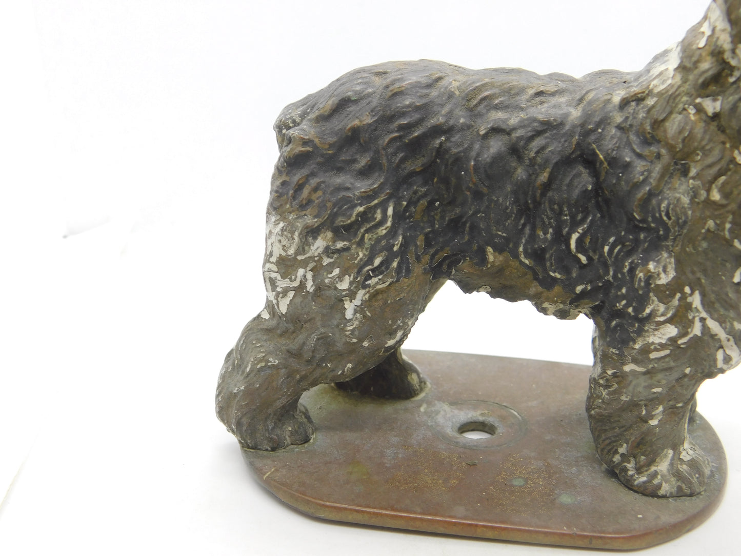 Victorian Cold Painted Vienna Bronze Bearded Collie Dog Figure Antique c1860