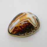 George III Silver Plated & Cowrie Shell Cross Pattern Snuff Box Antique c1780