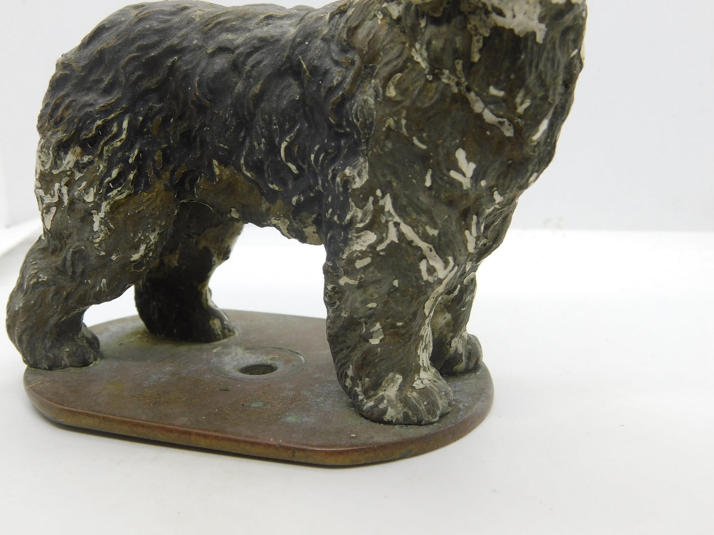 Victorian Cold Painted Vienna Bronze Bearded Collie Dog Figure Antique c1860