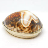 George III Silver Plated & Cowrie Shell Cross Pattern Snuff Box Antique c1780