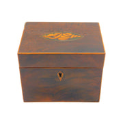 George III Regency Mahogany Wood Seashell Inlaid Tea Caddy Antique c1820