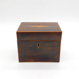George III Regency Mahogany Wood Seashell Inlaid Tea Caddy Antique c1820