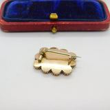 Georgian 9ct Rose Gold, Coral & Hair Set Locket Mourning Brooch c1820 Antique