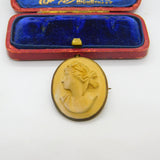 Grand Tour Carved Lava Classical Cameo Brooch Antique c1820 Gilt Metal Set