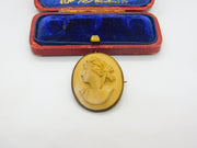 Grand Tour Carved Lava Classical Cameo Brooch Antique c1820 Gilt Metal Set