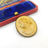 Grand Tour Carved Lava Classical Cameo Brooch Antique c1820 Gilt Metal Set