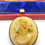 Grand Tour Carved Lava Classical Cameo Brooch Antique c1820 Gilt Metal Set