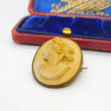 Grand Tour Carved Lava Classical Cameo Brooch Antique c1820 Gilt Metal Set