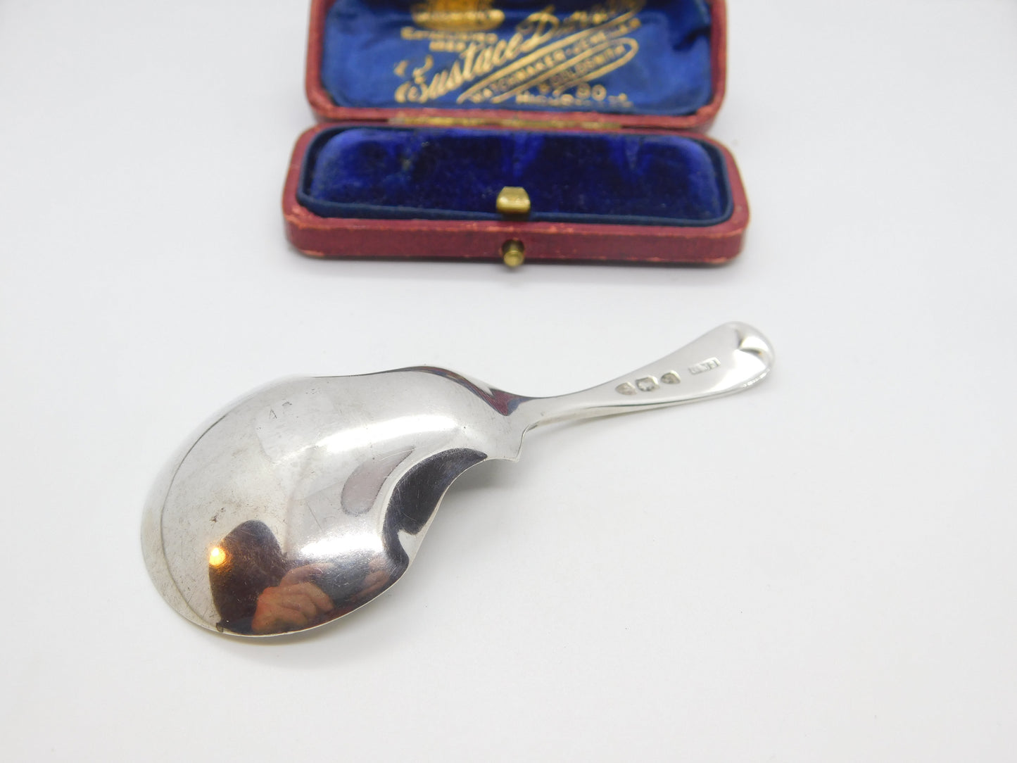 Victorian Sterling Silver Floral Pattern Tea Caddy Spoon 1894 London Antique