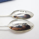Pair of Hound Dog Mask Terminal Sterling Silver Spoons Vintage 1982 Birmingham