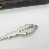 Boxed Set Victorian Sterling Silver Floral Teaspoons 1876 Birmingham Antique