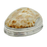 George III Sterling Silver Mounted Cowrie Shell Snuff Box Antique c1760s