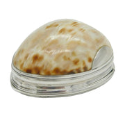George III Sterling Silver Mounted Cowrie Shell Snuff Box Antique c1760s