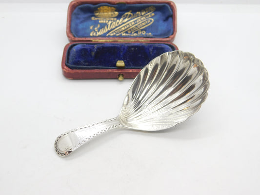 Georgian Sterling Silver Scallop Bowl Caddy Spoon 1788 Charles Hougham