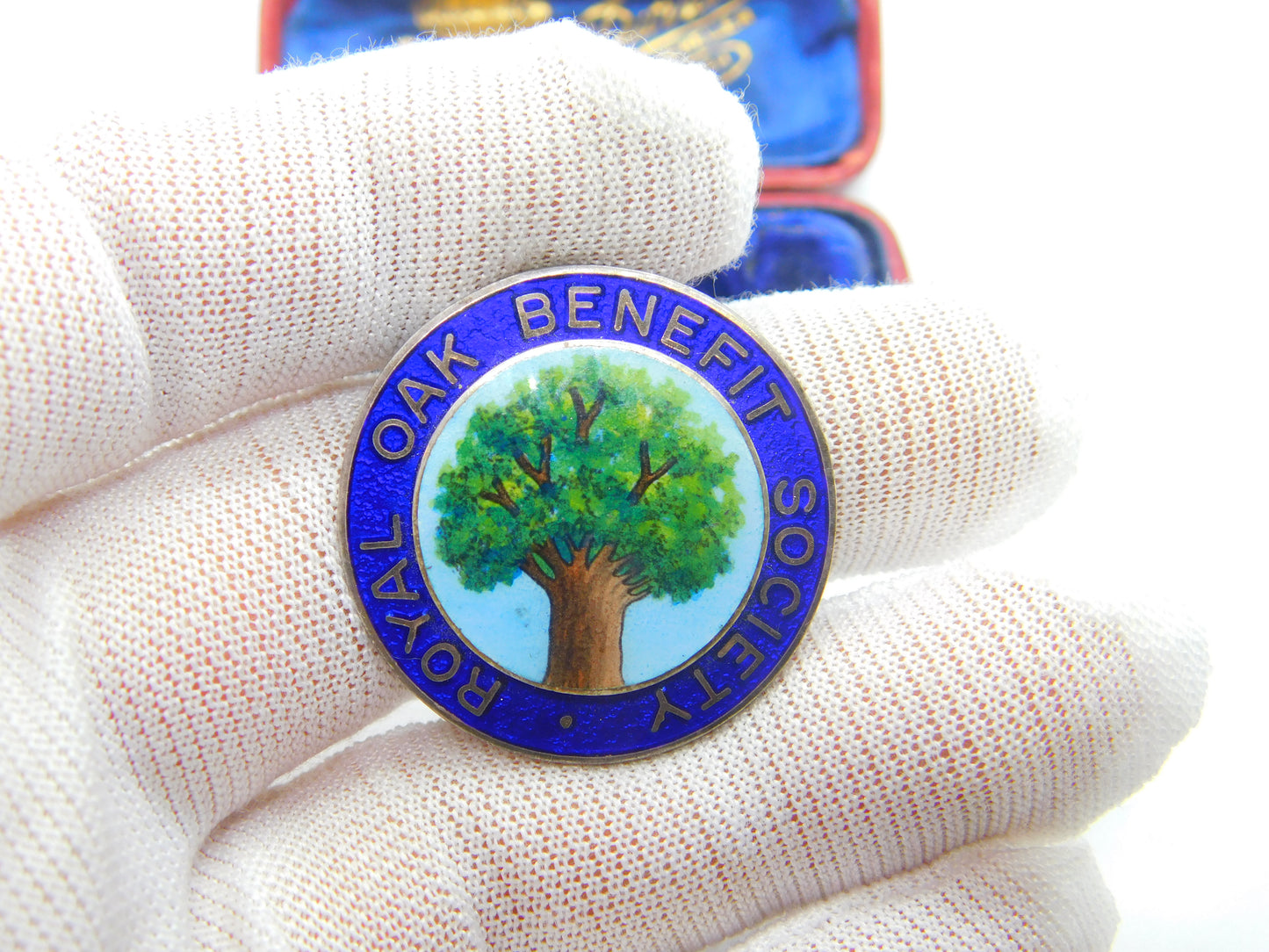 Sterling Silver Colourful Oak Tree Enamel Royal Oak Society 1971 Birmingham